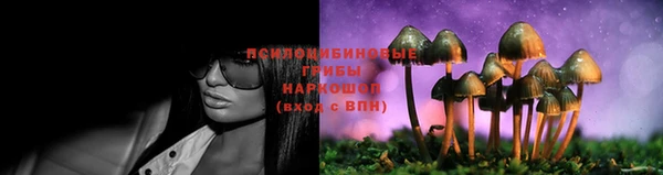ПСИЛОЦИБИНОВЫЕ ГРИБЫ Балабаново