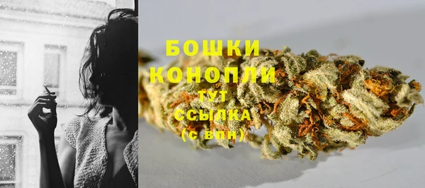 ПСИЛОЦИБИНОВЫЕ ГРИБЫ Балабаново