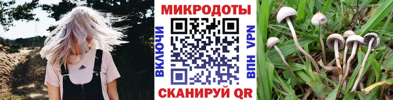 Галлюциногенные грибы ЛСД как найти закладки Балтийск